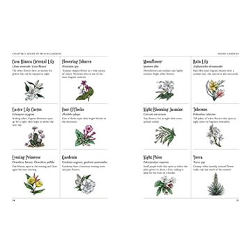 The Green Witch's Garden - Create Your Magical Space