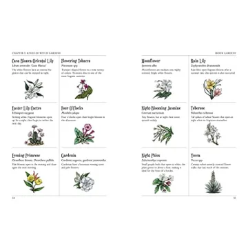 The Green Witch's Garden - Create Your Magical Space