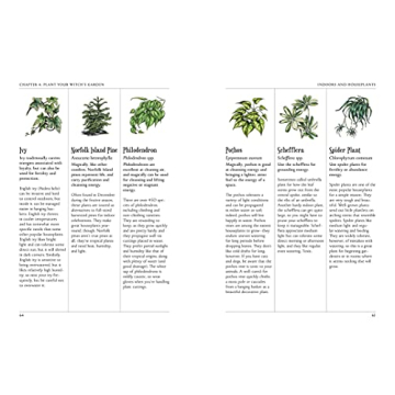 The Green Witch's Garden - Create Your Magical Space