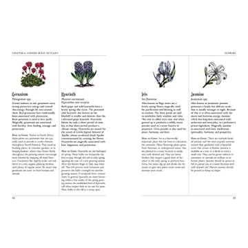 The Green Witch's Garden - Create Your Magical Space