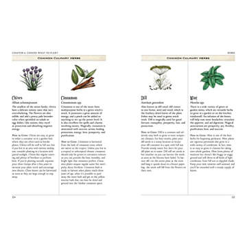 The Green Witch's Garden - Create Your Magical Space