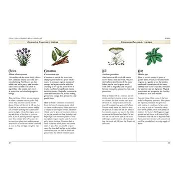 The Green Witch's Garden - Create Your Magical Space