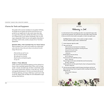 The Green Witch's Garden - Create Your Magical Space