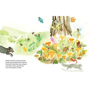 Mason Goes Mushrooming: A Fun Educational Adventure!