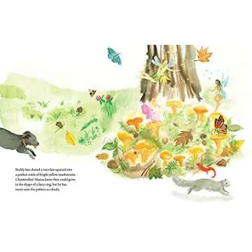 Mason Goes Mushrooming: A Fun Educational Adventure!