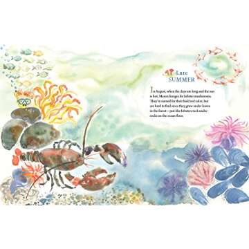 Mason Goes Mushrooming: A Fun Educational Adventure!