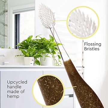 RADIUS Source Toothbrush - Eco-friendly with Replaceable Head