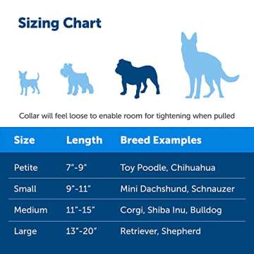 PetSafe Martingale Dog Collar with Quick-Snap Buckle - Medium, 1 Inch, Red