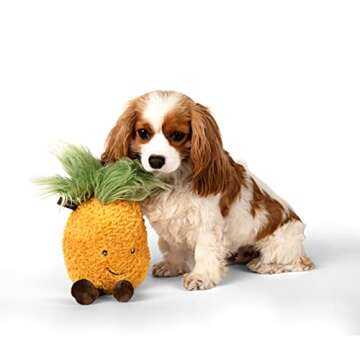 NANDOG Pineapple Squeaky Dog Toy for Small Breeds