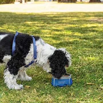 Friends Forever Collapsible Dog Bowl - 2 Pack Travel Dog Bowl, Water and Food Bowls for Dogs - Portable Pet Hiking Accessories … Blue