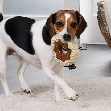 TrustyPup Tough 'N Fun Donut Squeaky Plush Dog Toy, Chew Guard Technology - Tan, Small (71148)