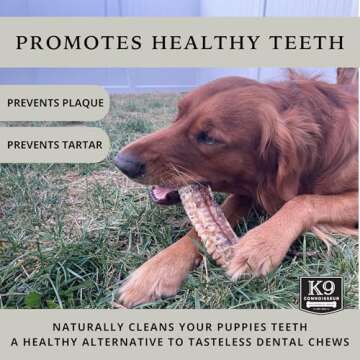 K9 Connoisseur Beef Trachea Dog Chews Single Ingredient Dog Treat, Beef Trachea for Dogs Made in USA, One Ingredient Dogs Treats and All Natural, Glucosamine Chondroitin (7, 7in)