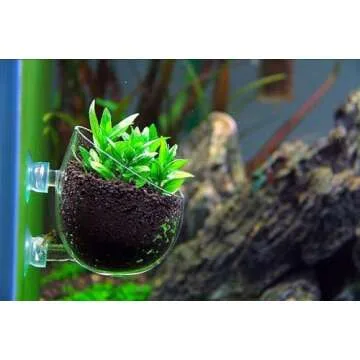 Tfwadmx Plant Pot Aquarium Decor Aquatic Plant Cup with 2 Suction Cup for Fish Tank Aquarium Aquascape(2 Pack)