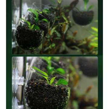 Tfwadmx Plant Pot Aquarium Decor Aquatic Plant Cup with 2 Suction Cup for Fish Tank Aquarium Aquascape(2 Pack)