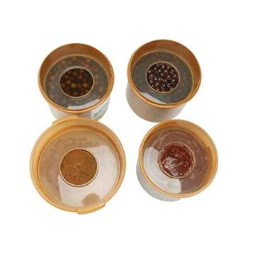 Premium Kimchi & Sauerkraut Fermentation Container - 5.8 Gal