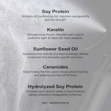 PETER COPPOLA Just Blow - Heat Protectant Spray for Blow-Drying, Anti-Frizz, Smoothing and Straightening All Hair Types - Conditions and Adds Shine - 6 oz