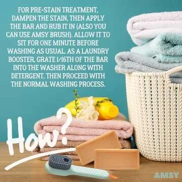 AMSY Stain Remover Bundle with Soap & Brush