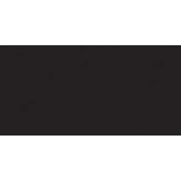 Tsukineko VersaFine inkpad, Full-Size, Onyx Black