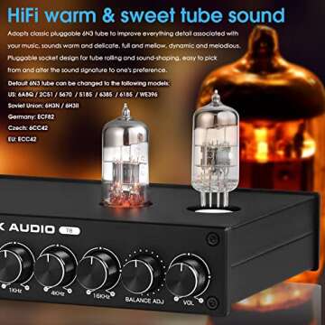 HiFi Vacuum Tube 5-Band EQ Preamp Equalizer XLR Pre-Amplifier Home Headphone Amp (T8)