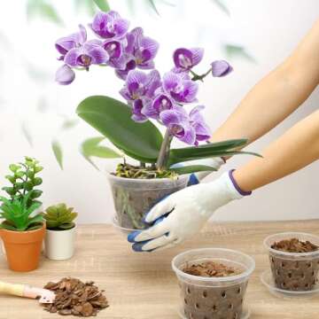 YOPIKUU Orchid Pot Set - 8 Packs of 3 Inch Durable Pots