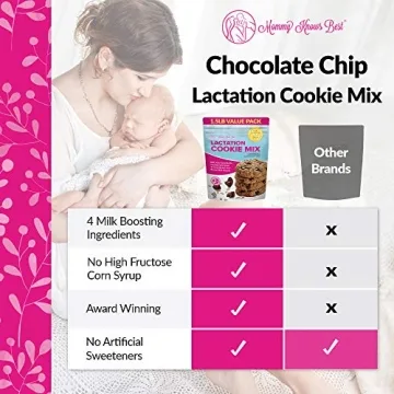 Chocolate Chip Lactation Cookies Mix for Breastfeeding Moms