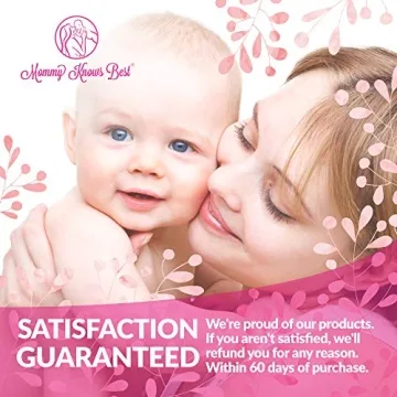 Chocolate Chip Lactation Cookies Mix for Breastfeeding Moms