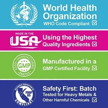 Chocolate Chip Lactation Cookies Mix for Breastfeeding Moms