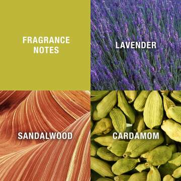 Curve Men's Cologne - Spicy Wood Scent for Any Occasion