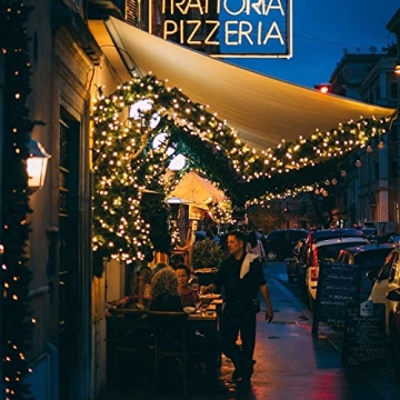 100 Clear Christmas String Lights 25 Feet Green Wire