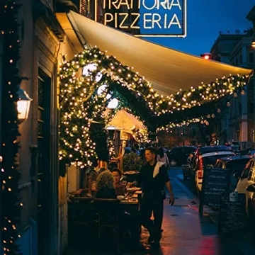 100 Clear Christmas String Lights 25 Feet Green Wire