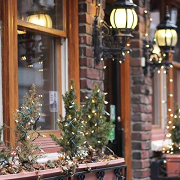 100 Clear Christmas String Lights 25 Feet Green Wire