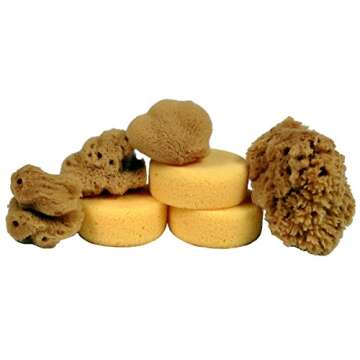 Creative Hobbies® Synthetic & Natural Sponges - Value Pack of 7