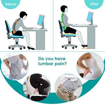 Feagar Lumbar Support Pillow for Car Seat/Office Chair (Black)