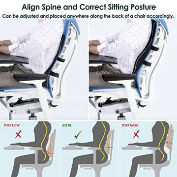 Feagar Lumbar Support Pillow for Car Seat/Office Chair (Black)