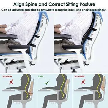 Feagar Lumbar Support Pillow for Car Seat/Office Chair (Black)