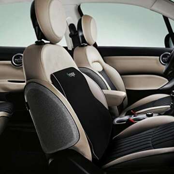 Feagar Lumbar Support Pillow for Car Seat/Office Chair (Black)