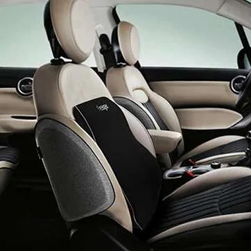 Feagar Lumbar Support Pillow for Car Seat/Office Chair (Black)