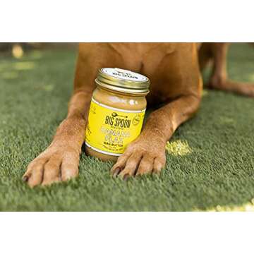 Big Spoon Roasters Wag Butter Banana Flax - Peanut Butter for Dogs - All Natural & Healthy Dog Peanut Butter - Puppy Treats & Snacks – No Gluten, Soy, or Palm – Made in The USA - 13 Ounce Jar