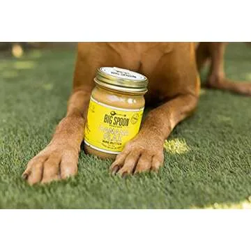 Big Spoon Roasters Wag Butter Banana Flax - Peanut Butter for Dogs - All Natural & Healthy Dog Peanut Butter - Puppy Treats & Snacks – No Gluten, Soy, or Palm – Made in The USA - 13 Ounce Jar