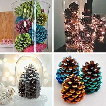 Natural Pinecones Set of 15 for Crafting and Decor