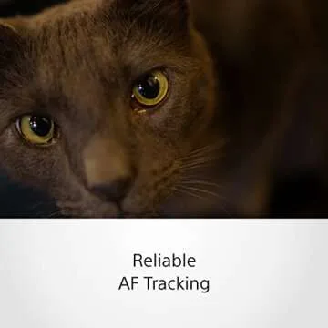 Sony SEL35F18F FE 35mm F1.8 Large-Aperture Wide-Angle Prime Lens