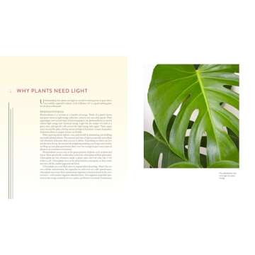 Gardening Under Lights Guide for All Indoor Growers