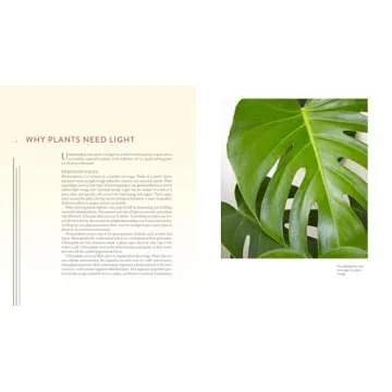 Gardening Under Lights Guide for All Indoor Growers