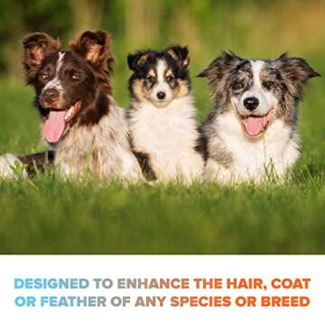 Panagenics | Pet Shampoo and Leave-in Conditioner Combination Set (16 Ounce Bottles) - Safe for All Animals, Unscented, Contains Citrus and Aloe