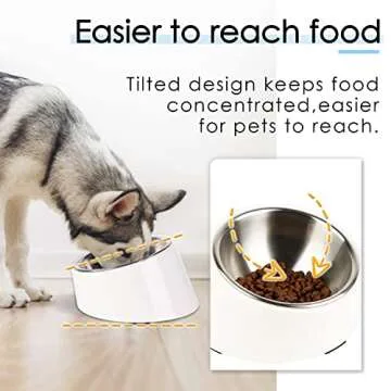 SuperDesign Mess Free 15° Slanted Bowl for Dogs and Cats, Tilted Angle Bulldog Bowl Dog Feeder, Non...