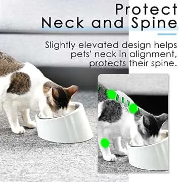 SuperDesign Mess Free 15° Slanted Bowl for Dogs and Cats, Tilted Angle Bulldog Bowl Dog Feeder, Non-Skid & Non-Spill, Easier to Reach Food M/1 Cup White