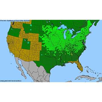 Common Milkweed Seed Balls for Fall Gardening (20 Pack)