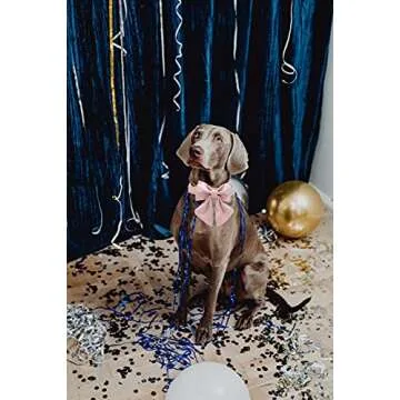 Silk Dog Collar with Bow for Medium Dogs - Unique Style Paws