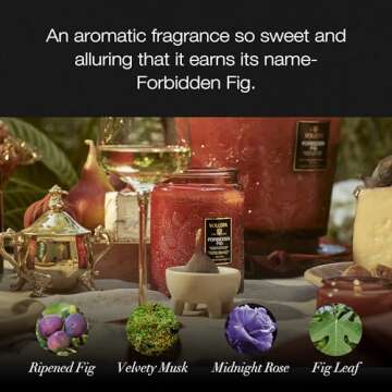 Voluspa Forbidden Fig Candle for 100 Hour Clean Burn