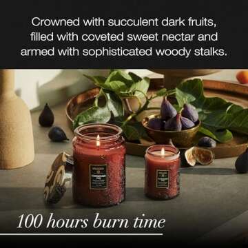 Voluspa Forbidden Fig Candle for 100 Hour Clean Burn